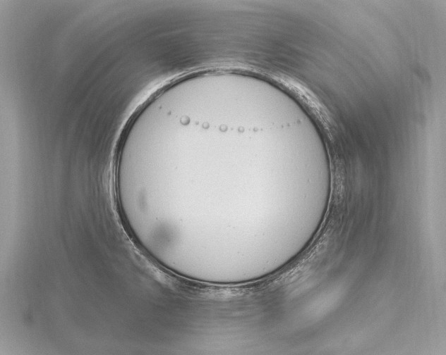 X0000115631286200912011433