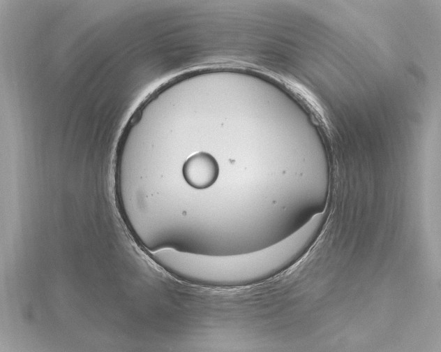 X0000115631288200912011433