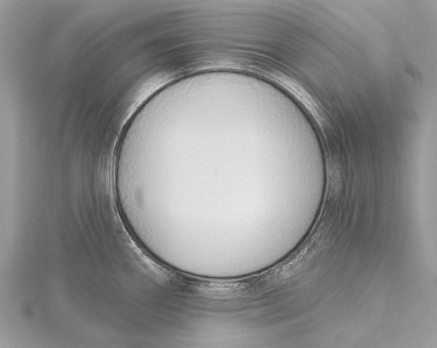 X0000115631290200912011433