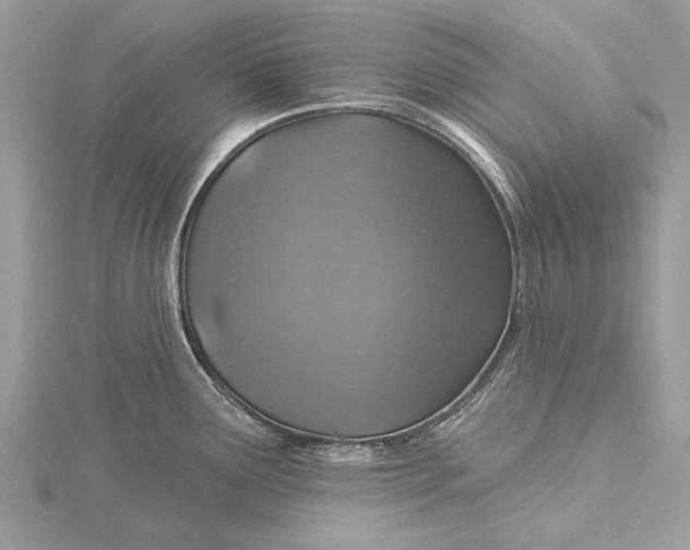 X0000115631291200912011433