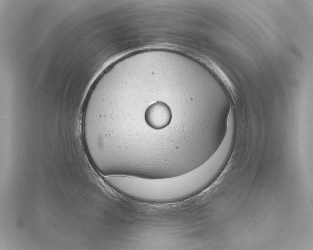 X0000115631292200912011433