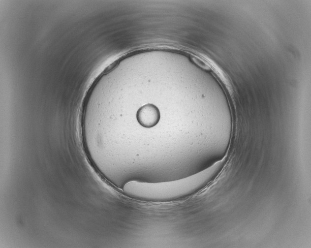 X0000115631293200912011432