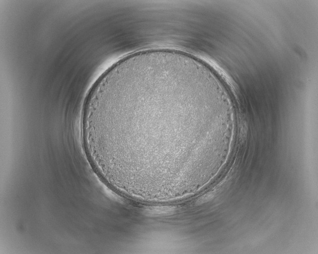 X0000115631294200912011432