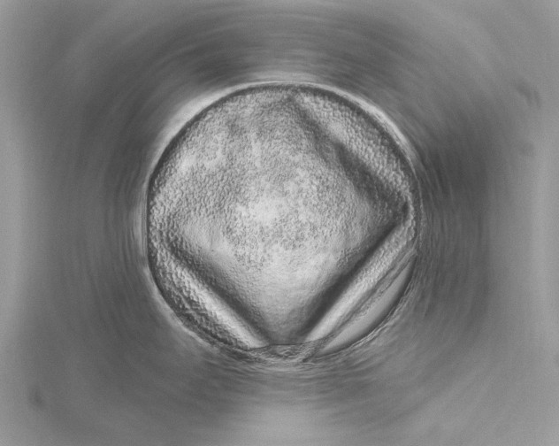 X0000115631295200912011432