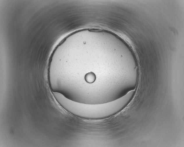 X0000115631296200912011432