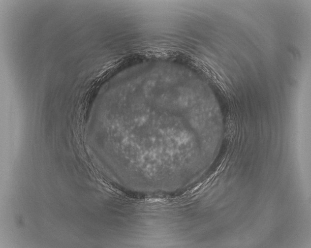 X0000115631297200912011432