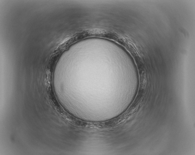 X0000115631301200912011432