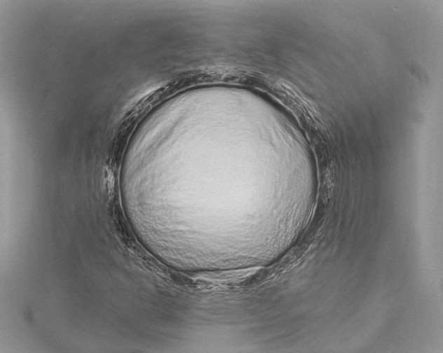 X0000115631302200912011432