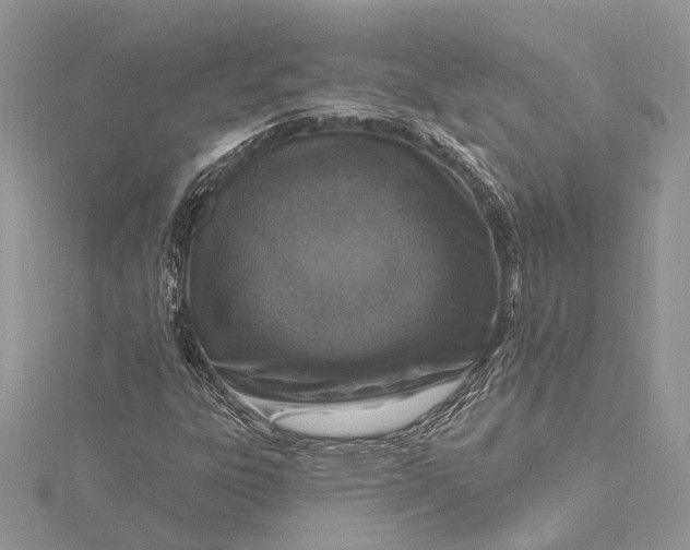 X0000115631303200912011432