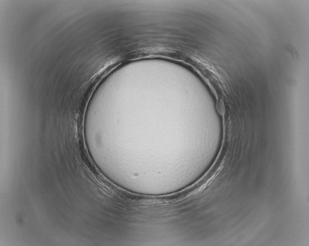 X0000115631305200912011432