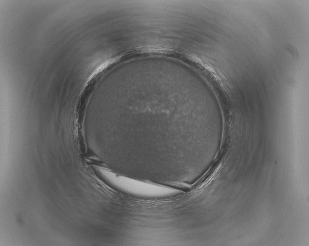 X0000115631306200912011432