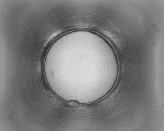 X0000115631307200912011432