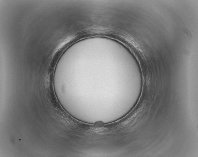 X0000115631309200912011432