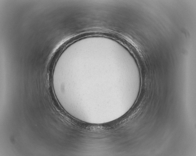 X0000115631310200912011432