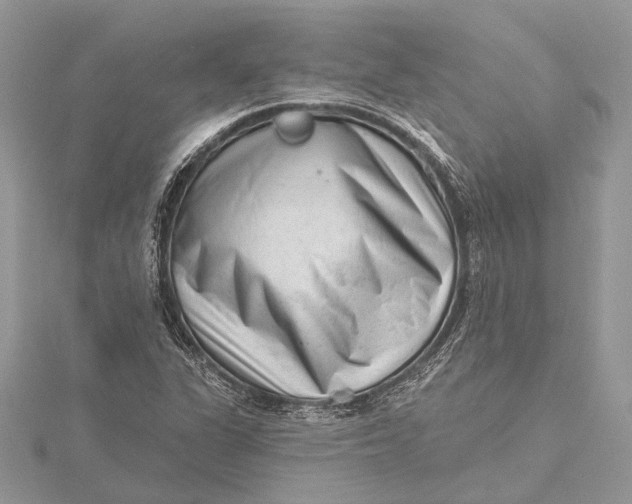 X0000115631311200912011432