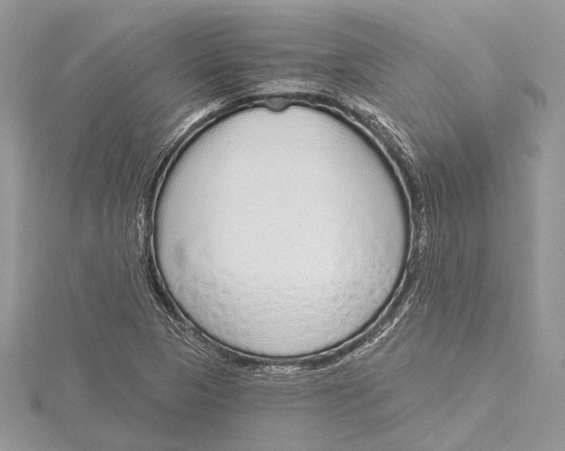 X0000115631313200912011432