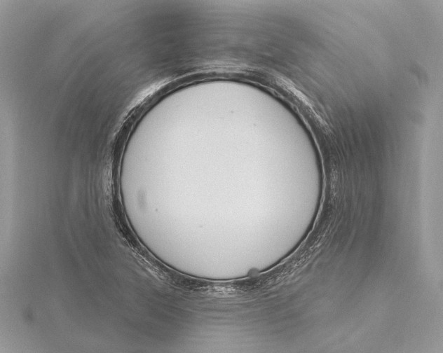 X0000115631315200912011432