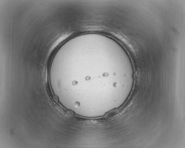 X0000115631317200912011432