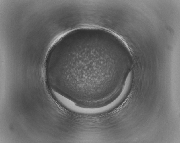 X0000115631319200912011432