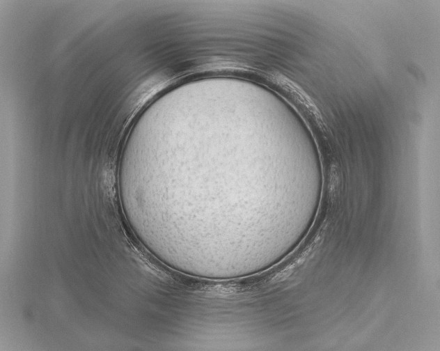 X0000115631321200912011432