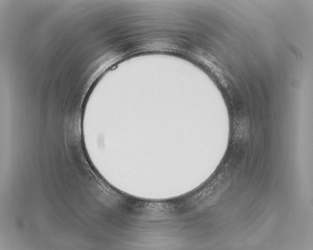 X0000115631322200912011432