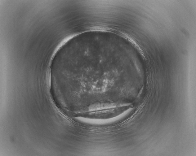 X0000115631323200912011432