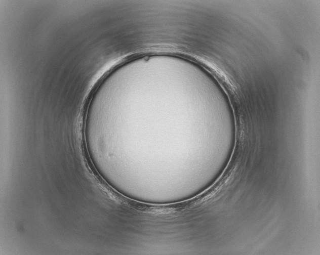 X0000115631325200912011432