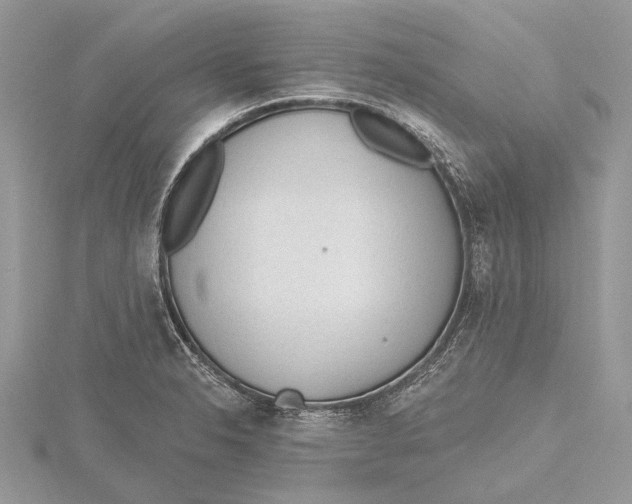 X0000115631326200912011432