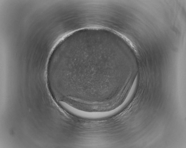 X0000115631327200912011432