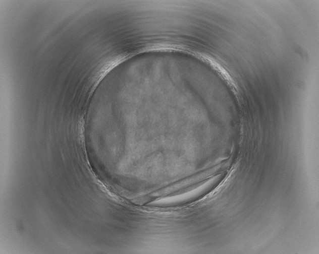 X0000115631329200912011432