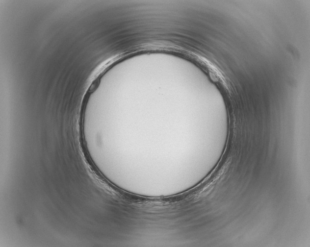 X0000115631330200912011432