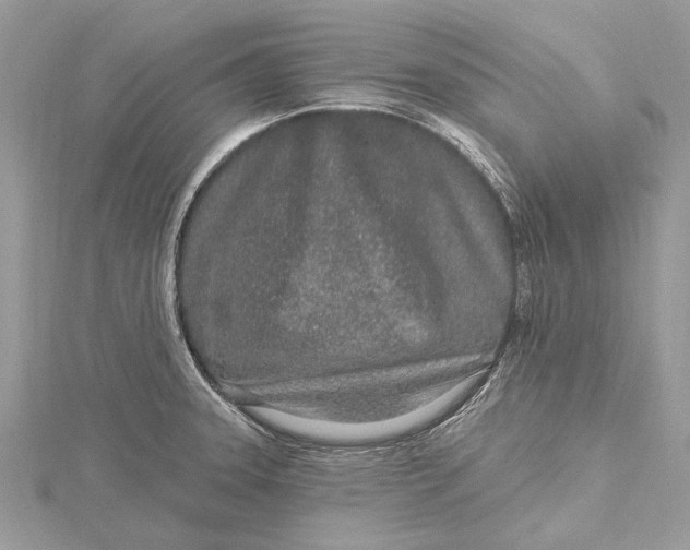 X0000115631331200912011432