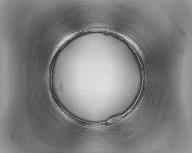 X0000115631333200912011432