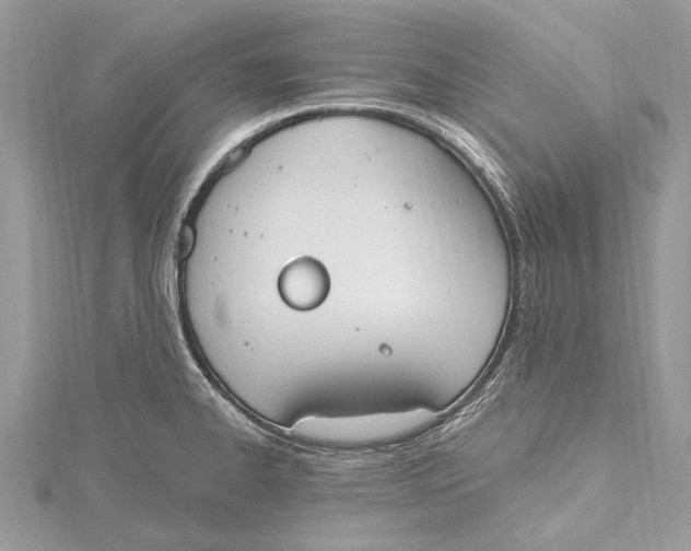 X0000115631334200912011432