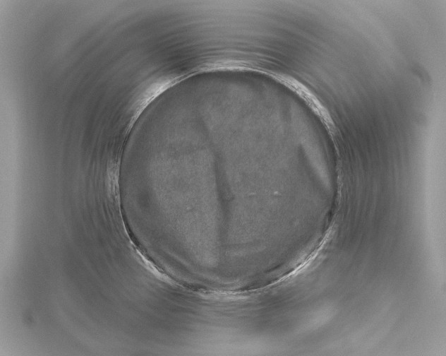 X0000115631337200912011432