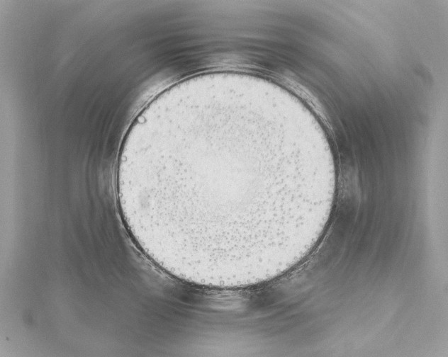 X0000115631338200912011432