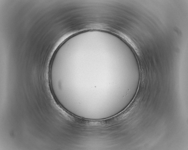 X0000115631339200912011432