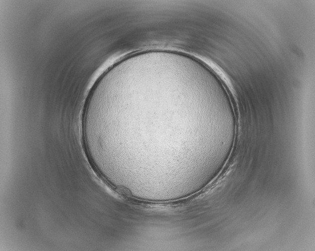 X0000115631341200912011432