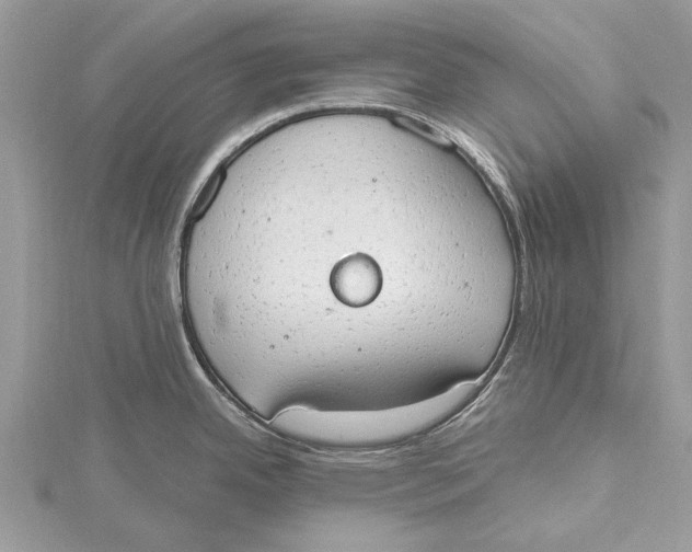 X0000115631342200912011432