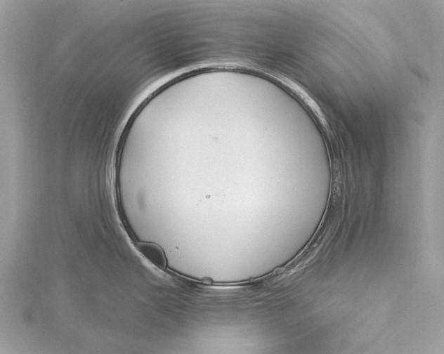 X0000115631343200912011432