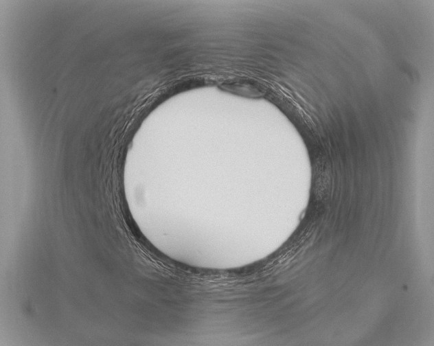 X0000115631345200912011432