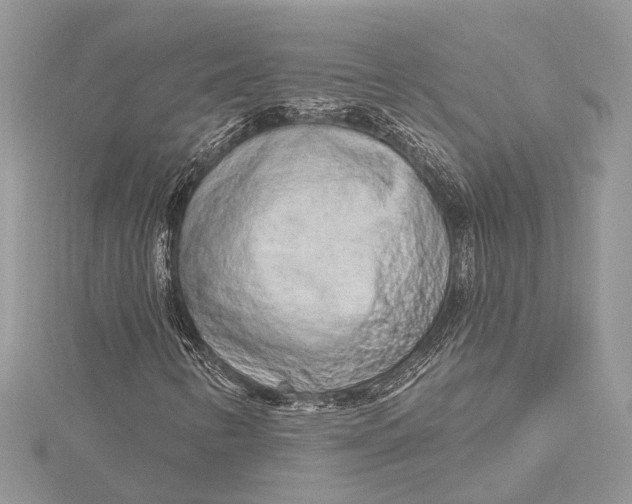 X0000115631346200912011432