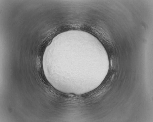 X0000115631347200912011432