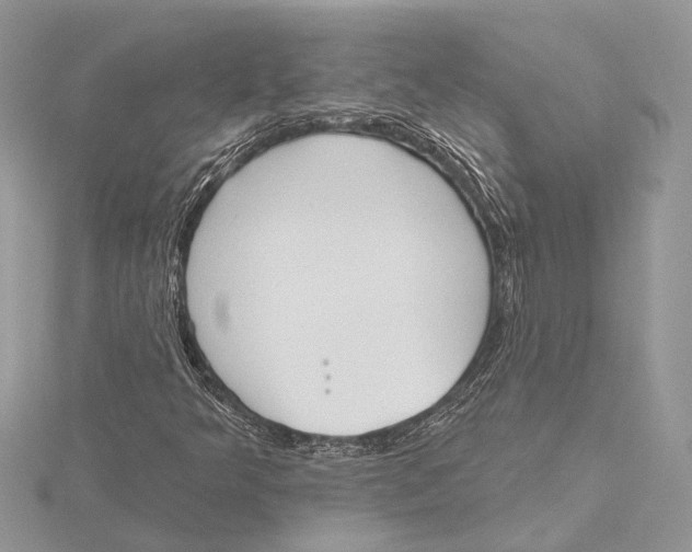 X0000115631349200912011432