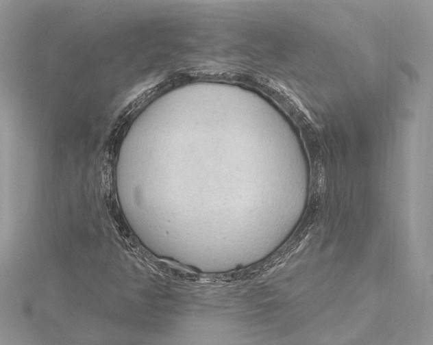 X0000115631350200912011432