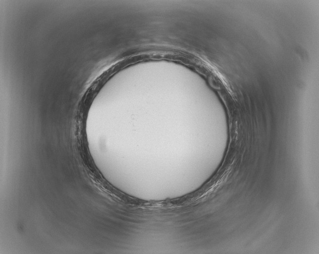 X0000115631352200912011432