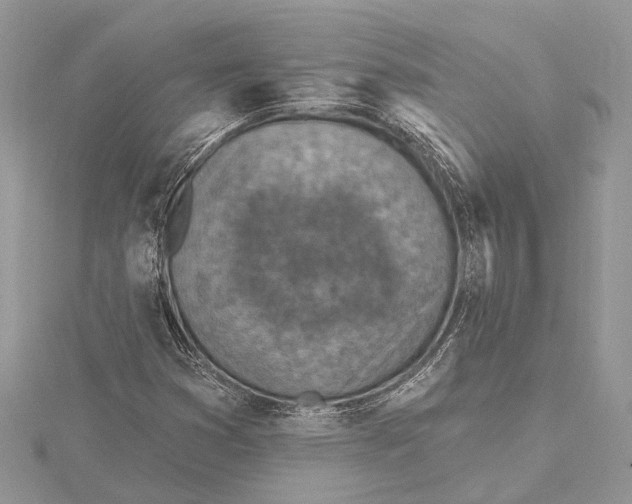 X0000115631353200912011432