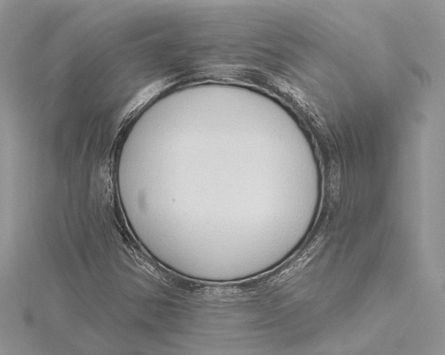 X0000115631354200912011432