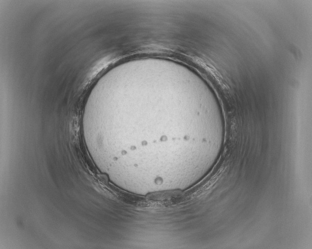 X0000115631355200912011432