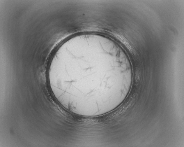 X0000115631356200912011432